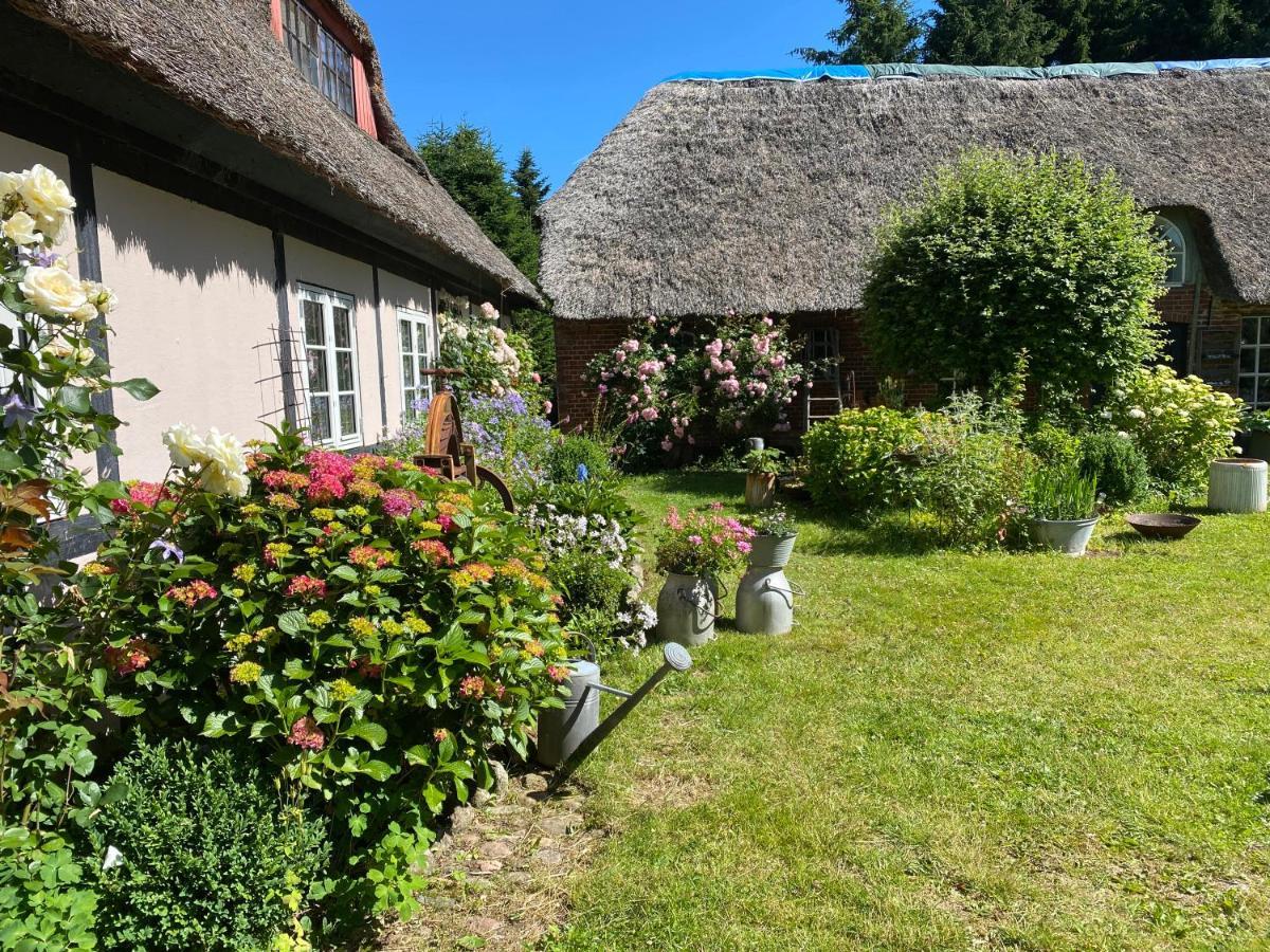 Bed and Breakfast Heddahgaarden à Bredal Extérieur photo
